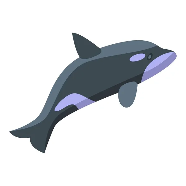 Killer whale fast icon, isometric style — Stock Vector