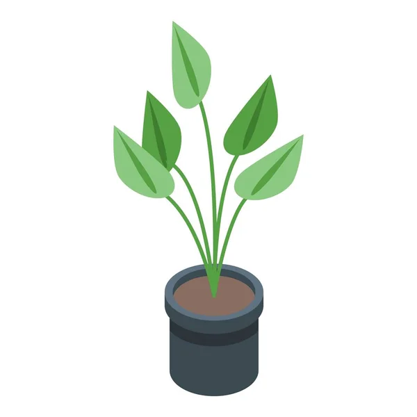 Plant pot icon isometric vector. Flowerpot vase — Vetor de Stock