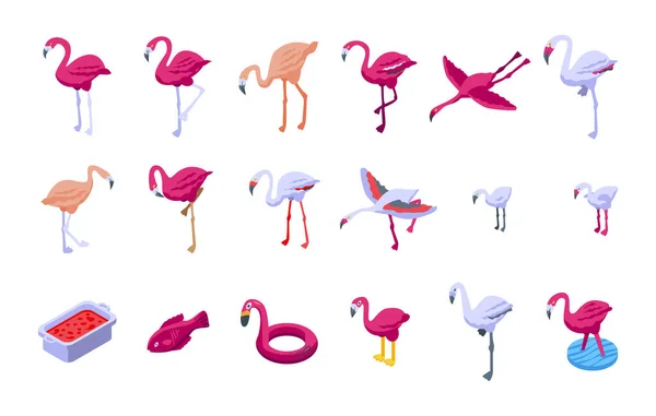 Набор иконок фламинго, изометрический стиль — стоковый вектор