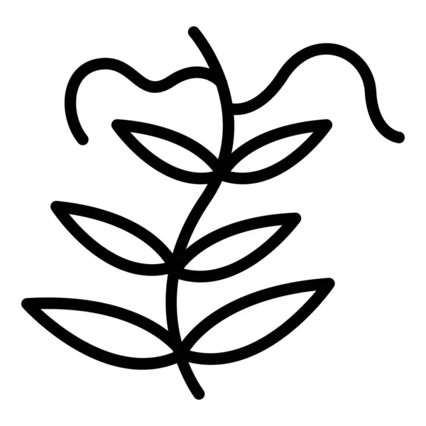 Лентіль садова ікона рослини, контурний стиль — стоковий вектор