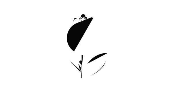 Tulp pictogram animatie — Stockvideo