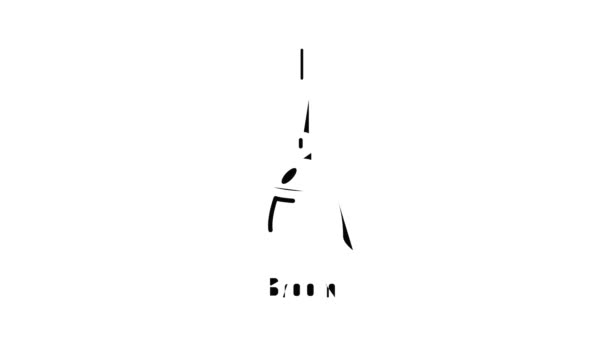 Animação ícone Broom — Vídeo de Stock