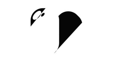 Sabun simgesi canlandırması