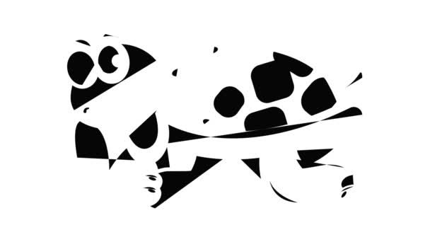 Gelukkige schildpad pictogram animatie — Stockvideo
