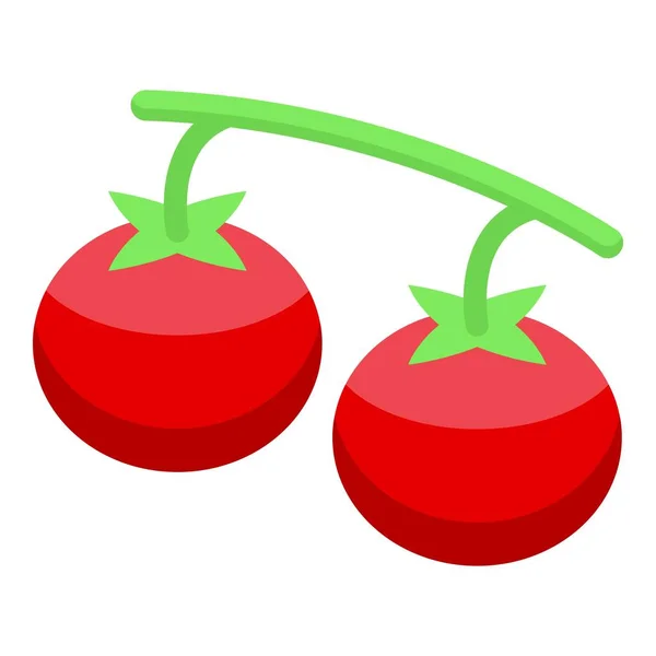 Icône de tomate fraîche vecteur isométrique. Tomate ketchup isolée — Image vectorielle