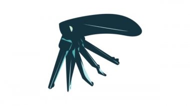 Simge canlandırmasını kilitle