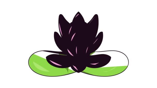 Pink lotus flower icon animation — Stock Video