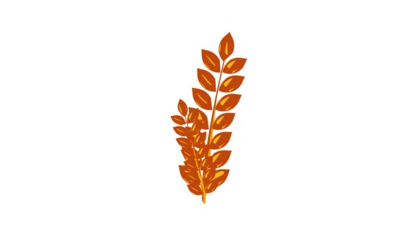 Animation d'icône de germe de blé — Video