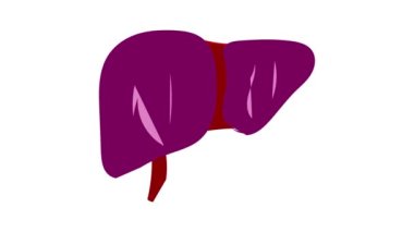 Karaciğer simgesi canlandırması