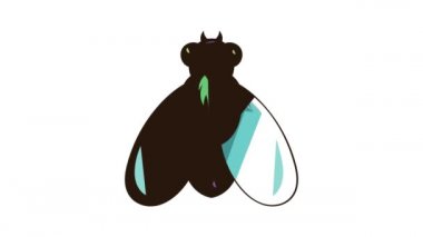 Simge canlandırmasını uçur