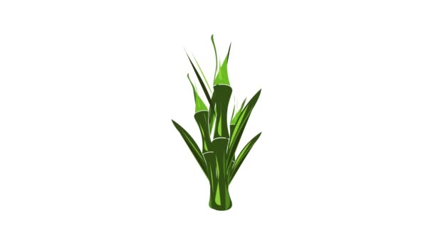 Groene bamboe stengels pictogram animatie — Stockvideo