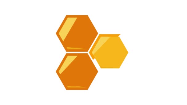 Favo de mel de animação ícone abelha — Vídeo de Stock