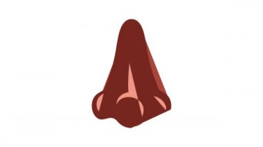 Burun simgesi canlandırması