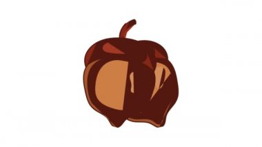 Meşe palamudu canlandırması