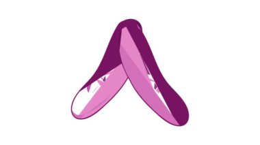 Pointe ayakkabı simgesi canlandırması