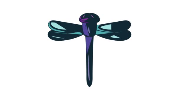 Dragonfly icon animation — Stock Video