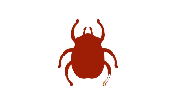 Golden Egyptian scarab beetle icon animation — Stock Video