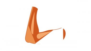 Dirsek simgesi canlandırması