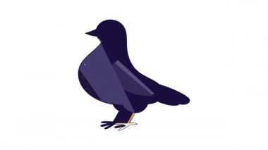 Güvercin simgesi canlandırması