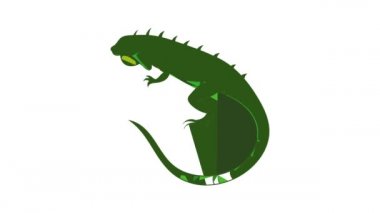 İguana simge canlandırması