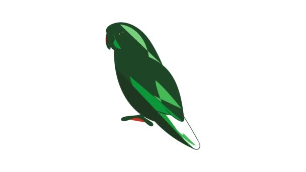 Мультипликация попугая — стоковое видео