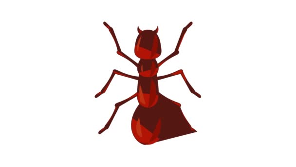 Ant icon animation — Stock Video