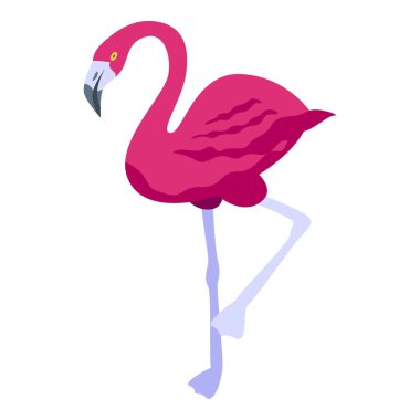 Kraliçe flamingo ikonu izometrik vektörü. Hayvanat bahçesi kuşu
