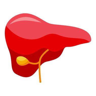 Organ biyobasım ikonu izometrik vektörü. Tıbbi Yazıcı