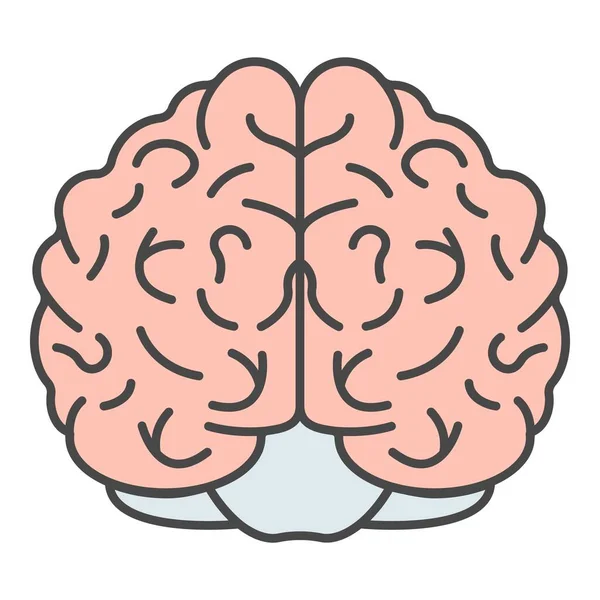 Ícone do cérebro vetor de contorno de cor — Vetor de Stock