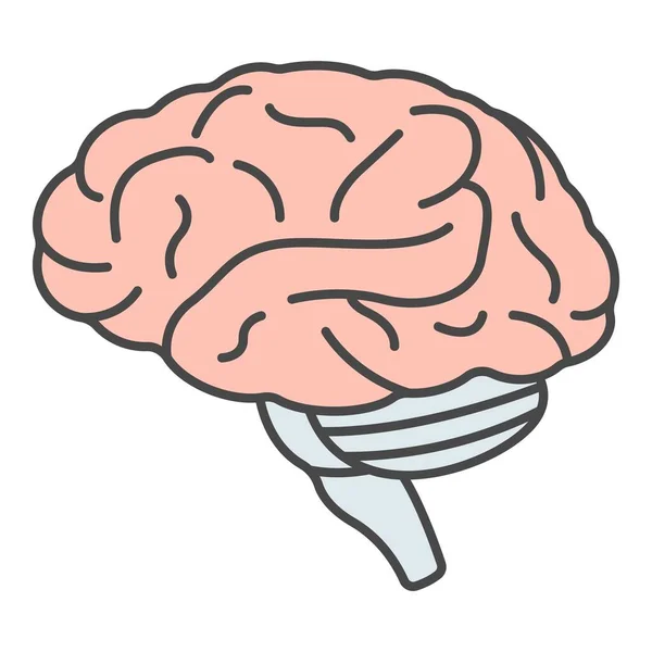Vettore di contorno del colore dell'icona del cervello umano — Vettoriale Stock