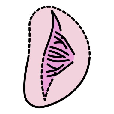 Hasta dalak simgesi renk ana hatları vektörü