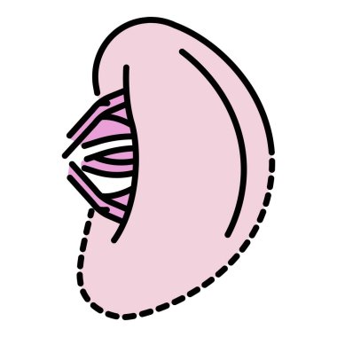 Sağlıklı dalak simgesi renk ana hatları vektörü