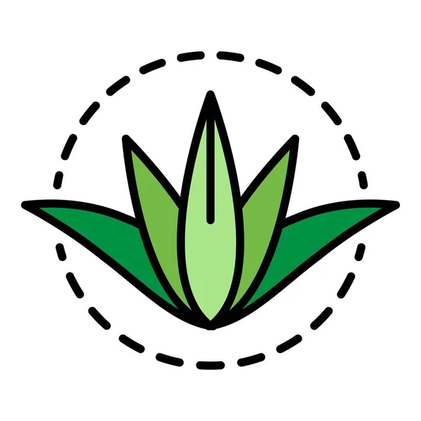 Aloe vera bitki simgesi renk ana hatları vektörü — Stok Vektör