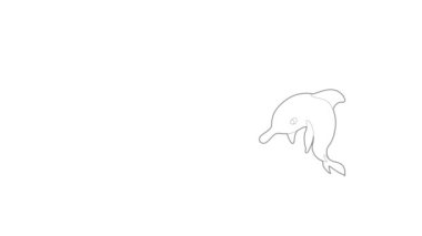 Yunus simgesi canlandırması