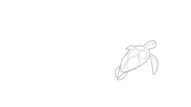 Kaplumbağa simgesi canlandırması