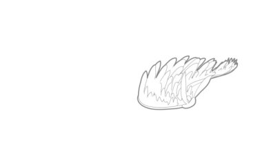 Deniz yosunu simgesi canlandırması