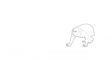 Kel wakari simgesi canlandırması