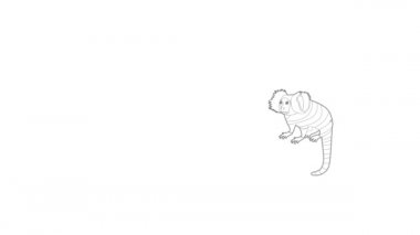 Küçük maymun simgesi canlandırması