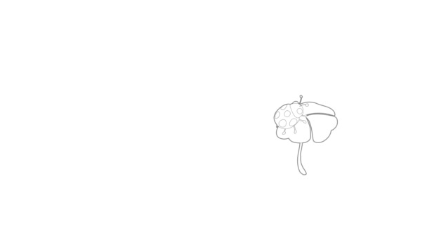 Joaninha senta-se em uma animação de ícone de flor — Vídeo de Stock