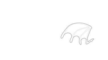 Yarasa kanadı canlandırması