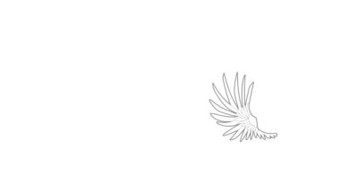 Geniş kanat simgesi canlandırması