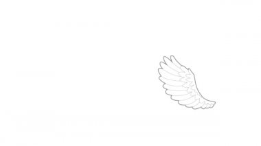 Eğri kanat simgesi canlandırması