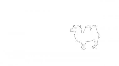 Deve Simgesi Canlandırması