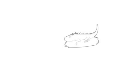 İguana simge canlandırması