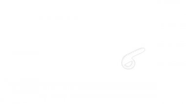 Simge canlandırması için desen