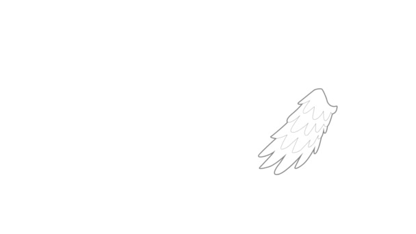 Angelic wing icon animation — Stock Video