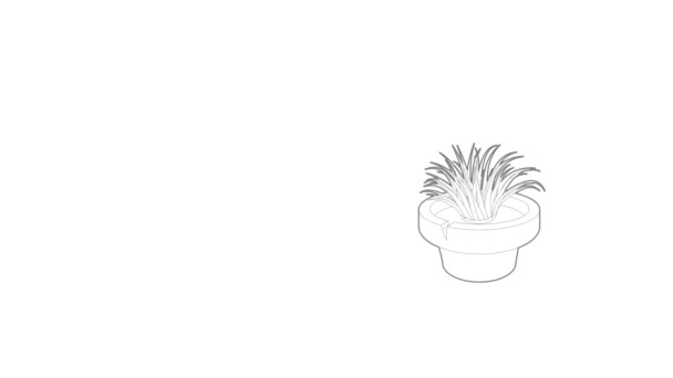 Home plant icon animation — Stock Video