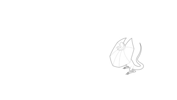 Frill pescoço lagarto ícone animação — Vídeo de Stock
