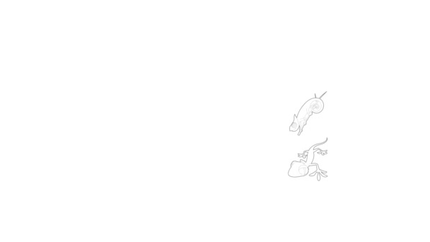 蜥蜴图标动画 — 图库视频影像