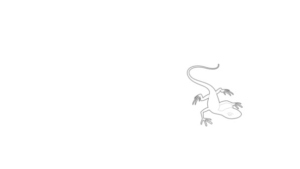 Анимация иконы ящерицы — стоковое видео